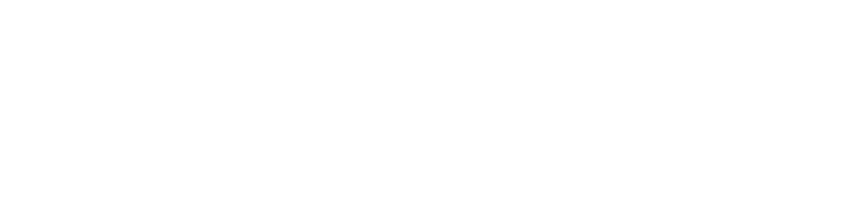 Logo partnera 1